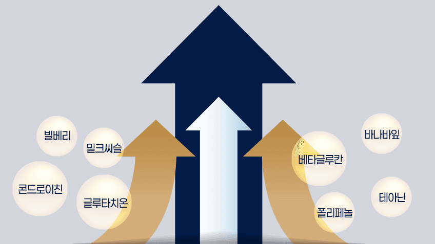 specialization_chart_one